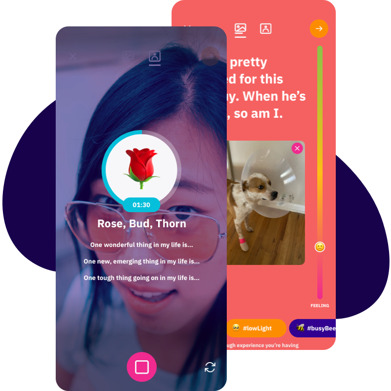 posts and checkins